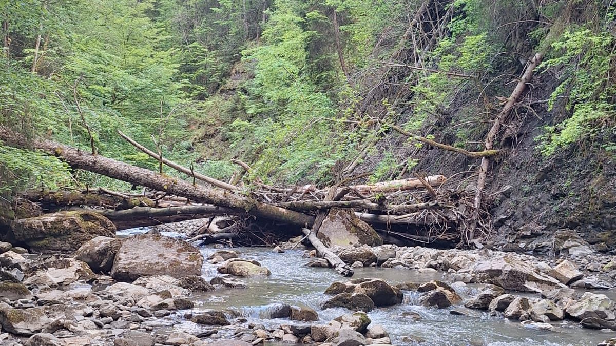 Sturmschäden im schwarzwasserbach